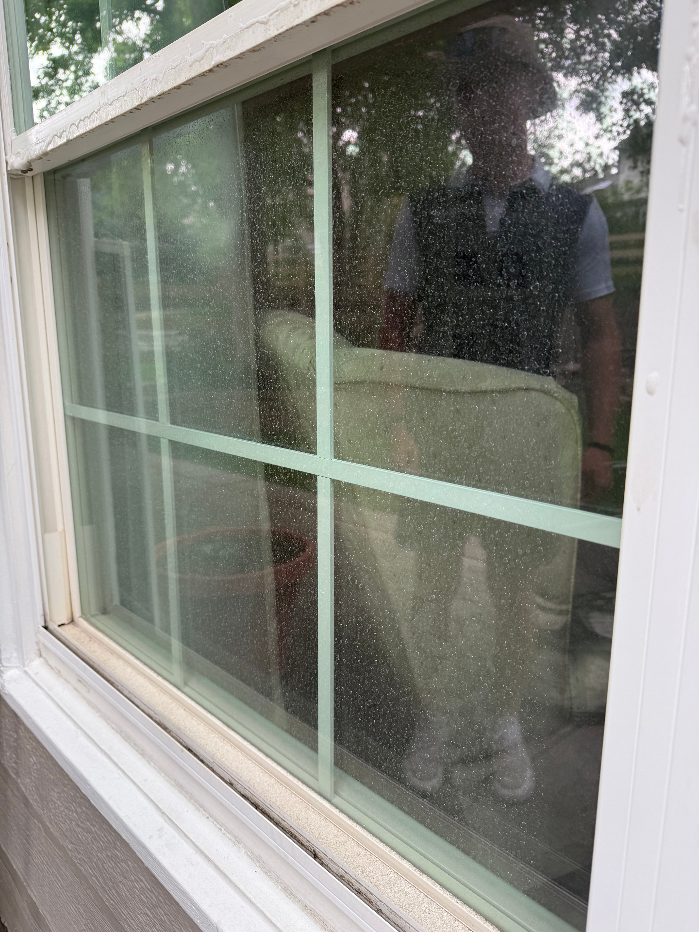 Exterior Window Cleaning — before